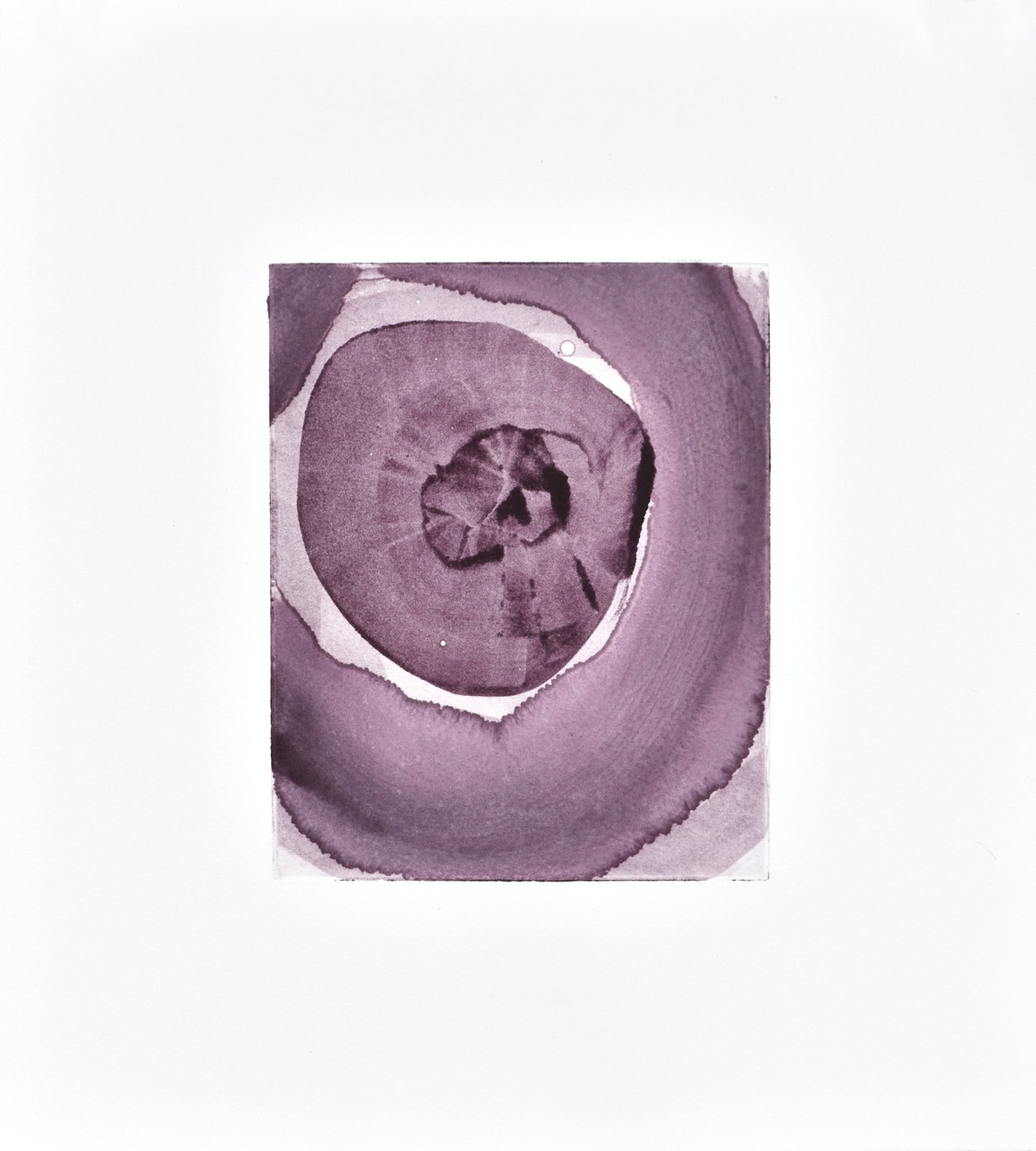 'Blossom' Original Monoprint (Framed)