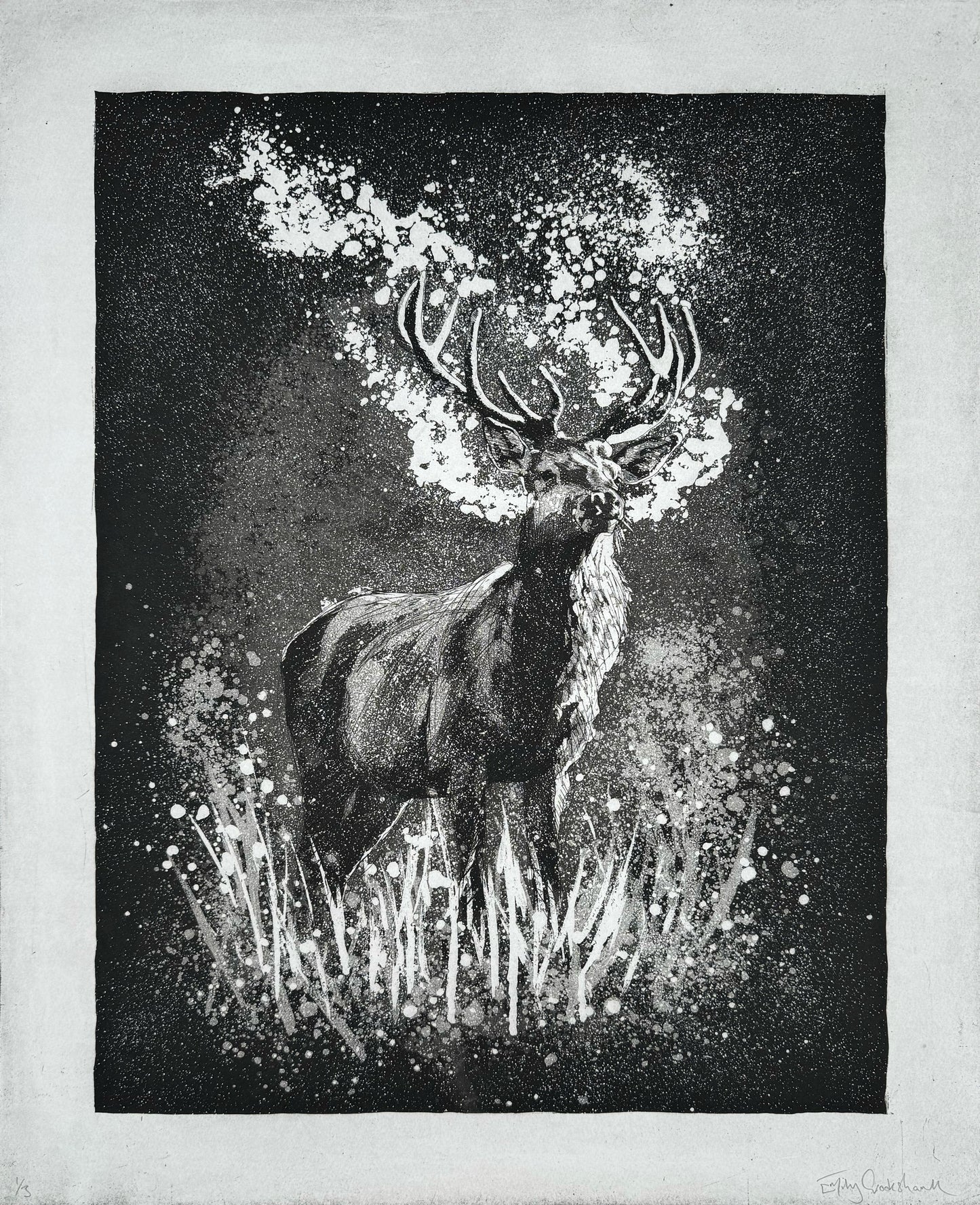 'Red Deer Stag at Dawn' Original Etching