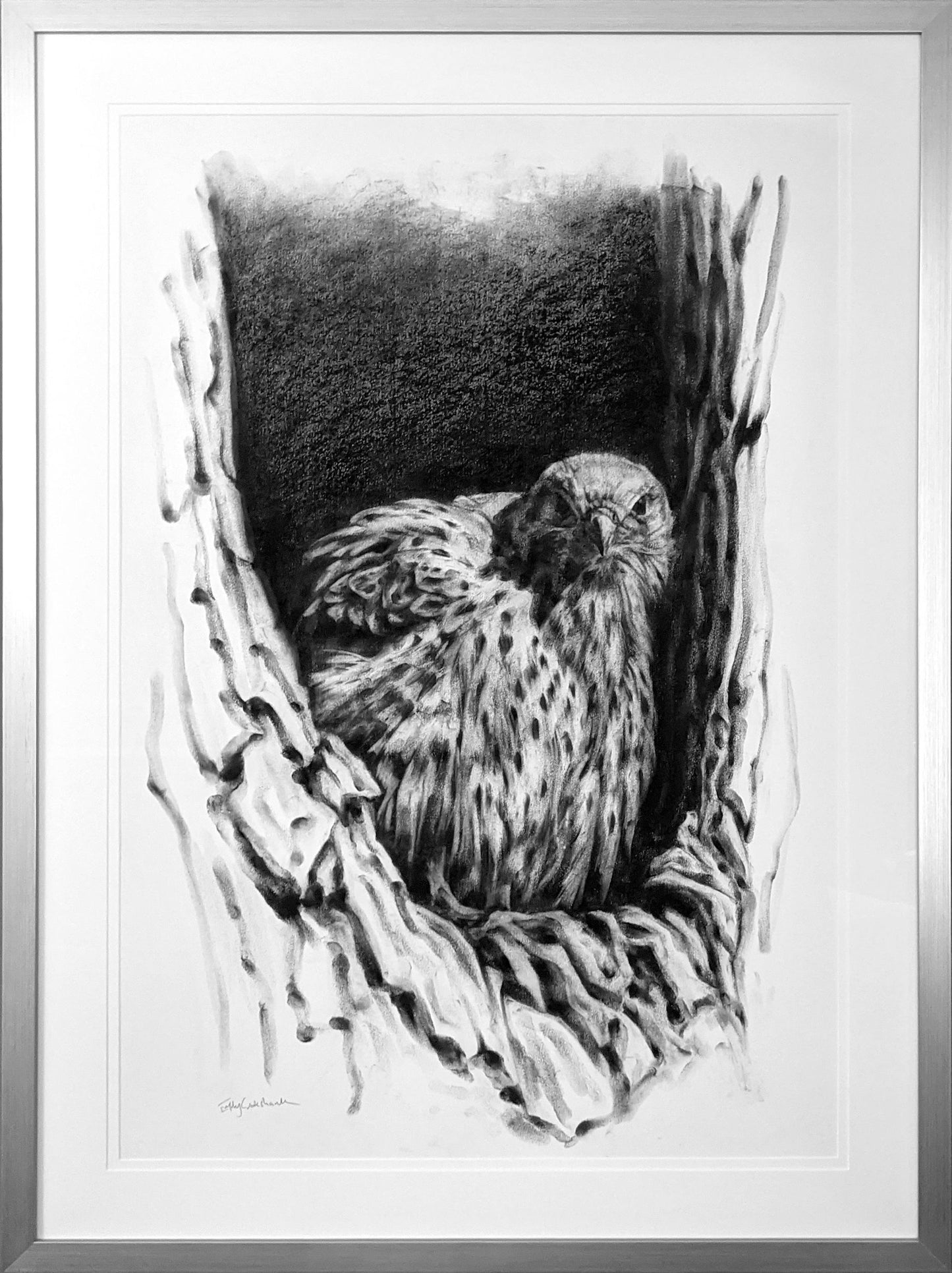 'Through The Echoes' Original Charcoal Drawing (Framed)