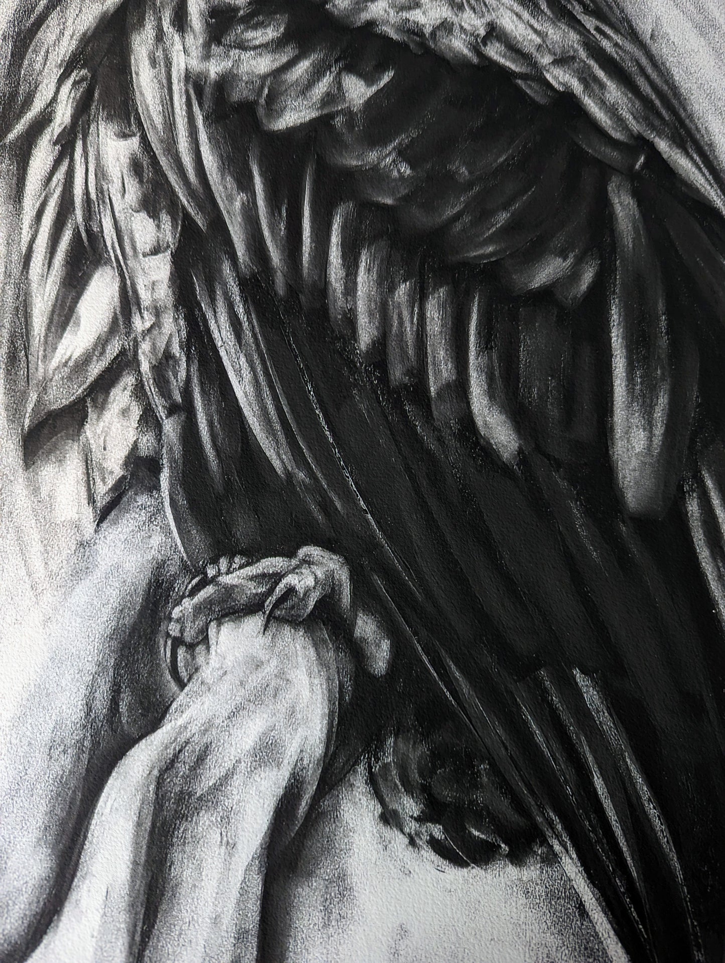 'White Tailed Eagle' Giclee Print of a Charcoal Drawing