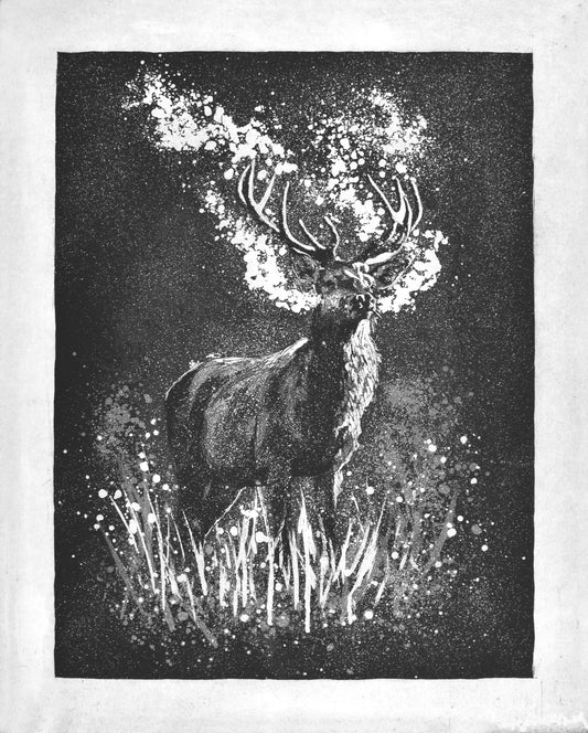 'Red Stag at Dawn' Original Etching