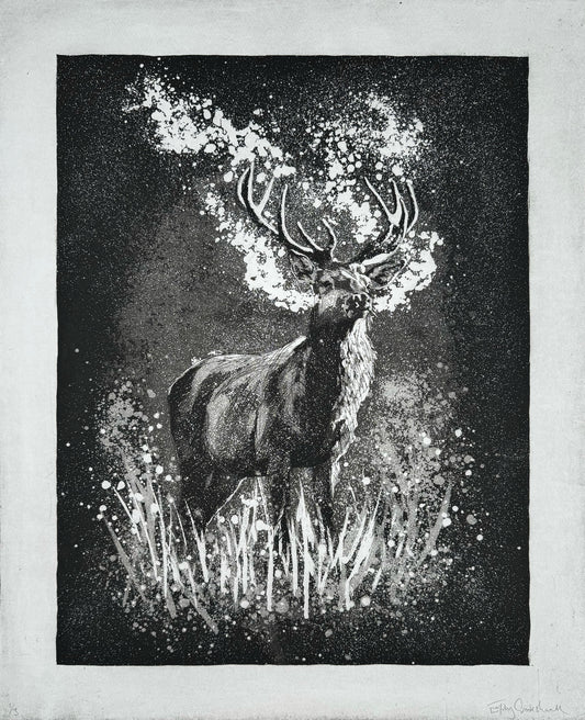 'Red Deer Stag at Dawn' Original Etching