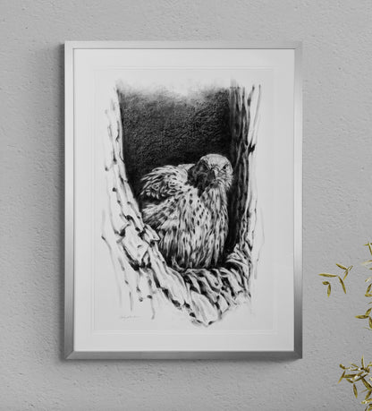 'Through The Echoes' Original Charcoal Drawing (Framed)